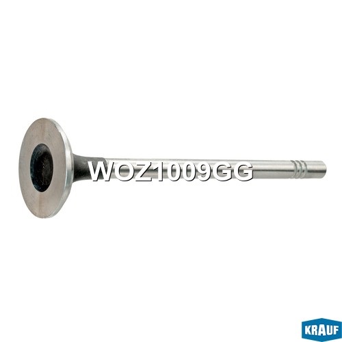 KRAUF WOZ1009GG Клапан выпускной