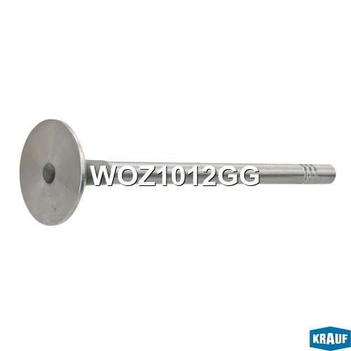 KRAUF WOZ1012GG Клапан выпускной