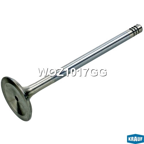 KRAUF WOZ1017GG Клапан выпускной