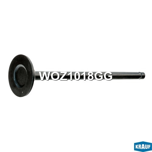 KRAUF WOZ1018GG Клапан выпускной
