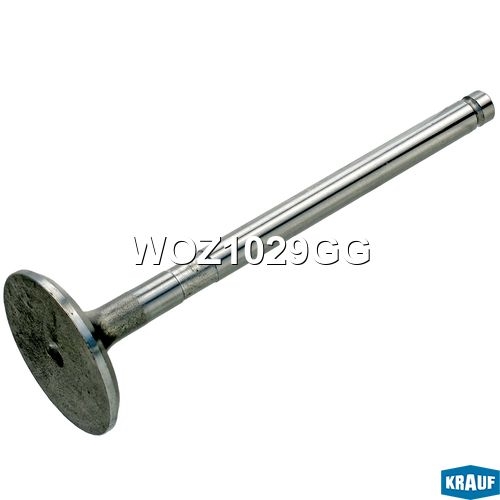 KRAUF WOZ1029GG Клапан выпускной
