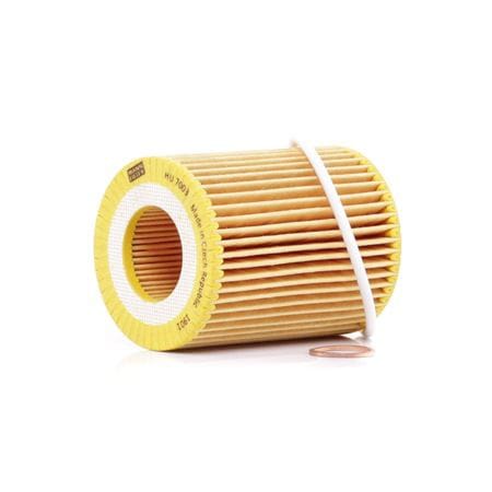 MANN-FILTER HU7003X Фильтр масляный BMW N13B16