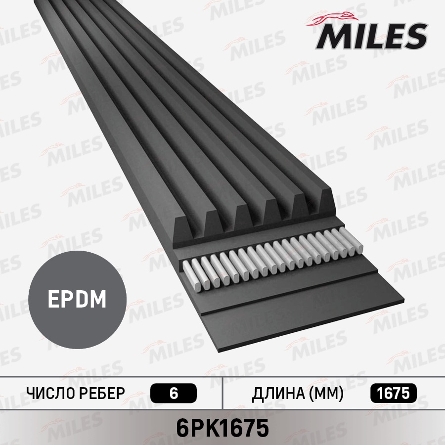 MILES 6PK1675 Ремень поликлиновой 6PK1675