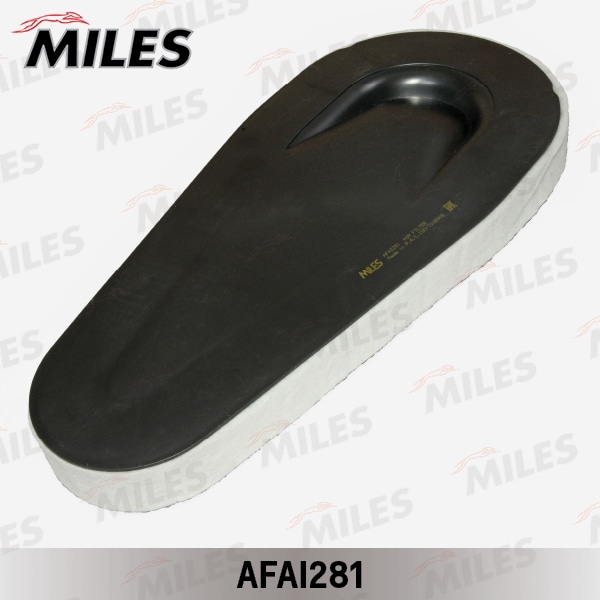 MILES AFAI281 Фильтр воздушный BMW F10/F07/F01 2.0D/3.0D