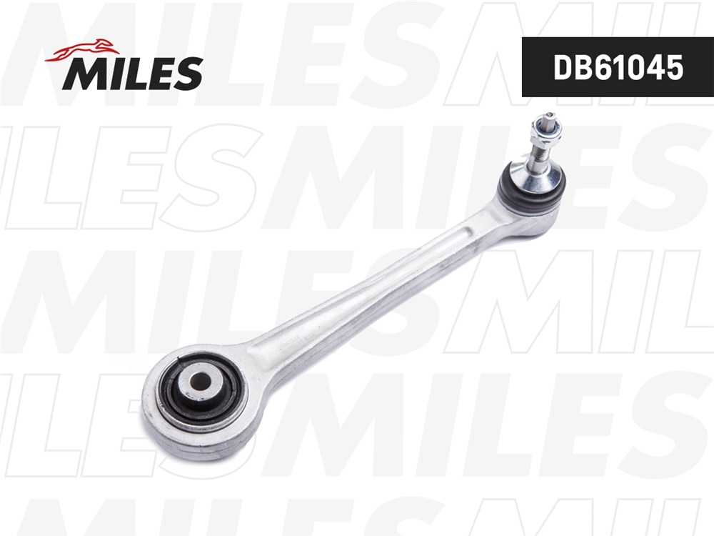 MILES DB61045 Рычаг задней подвески BMW E39/E60/E65 12/01- (LEMFORDER 2585502) DB61045