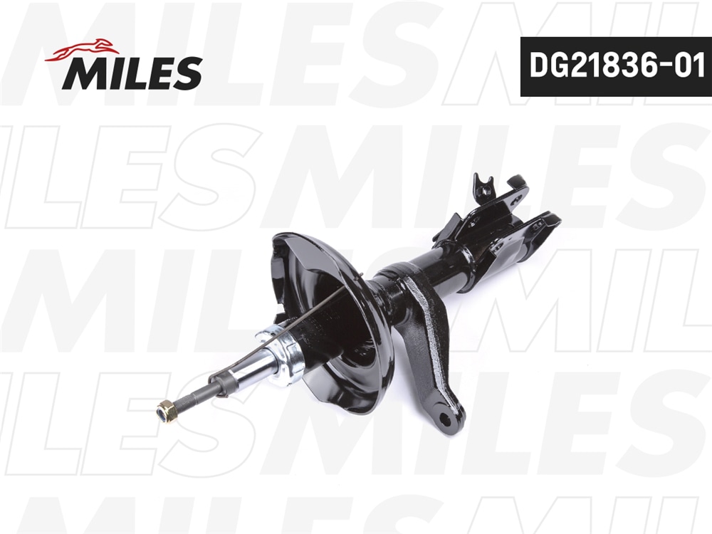 MILES DG2183601 Амортизатор передний правый газовый HONDA CR-V 02-06 (KYB 331050) DG21836-01