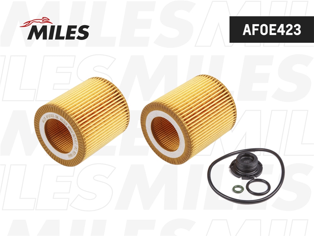 MILES AFOE423 Фильтр масляный BMW F20/F30 N20