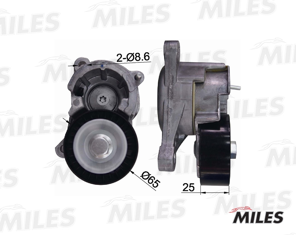 MILES AG00088 Натяжитель ремня приводного PEUGEOT 206/307/406 2.0/2.2 (INA 534002210) AG00088