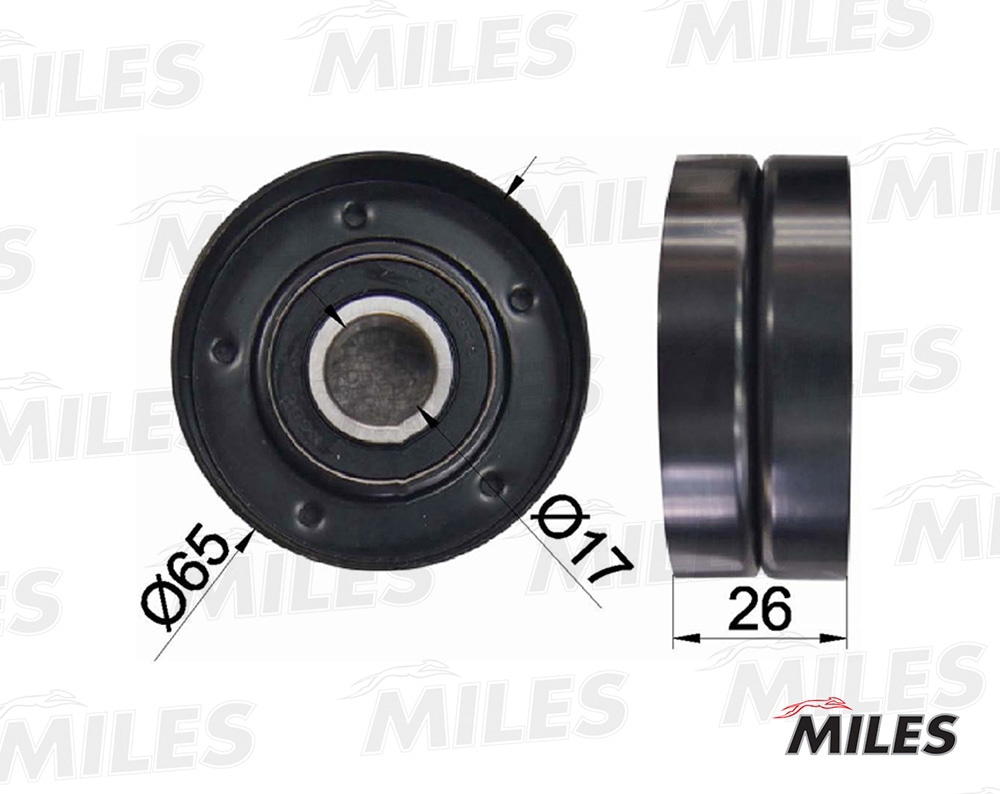 MILES AG03047 Ролик ремня приводного