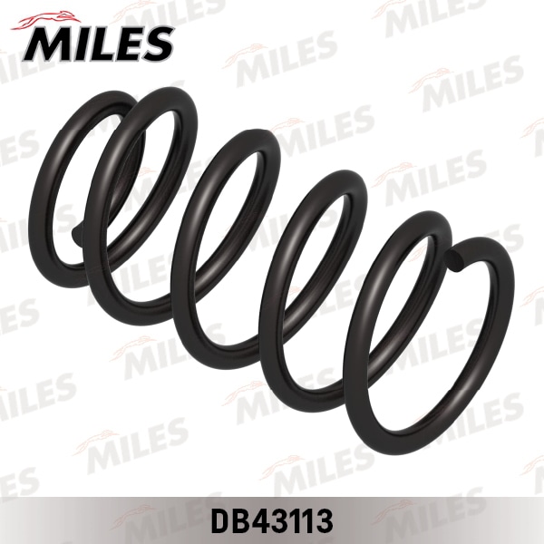 MILES DB43113 Пружина задней подвески HYUNDAI SANTA FE 4WD 11/05- (KYB RC6343) DB43113