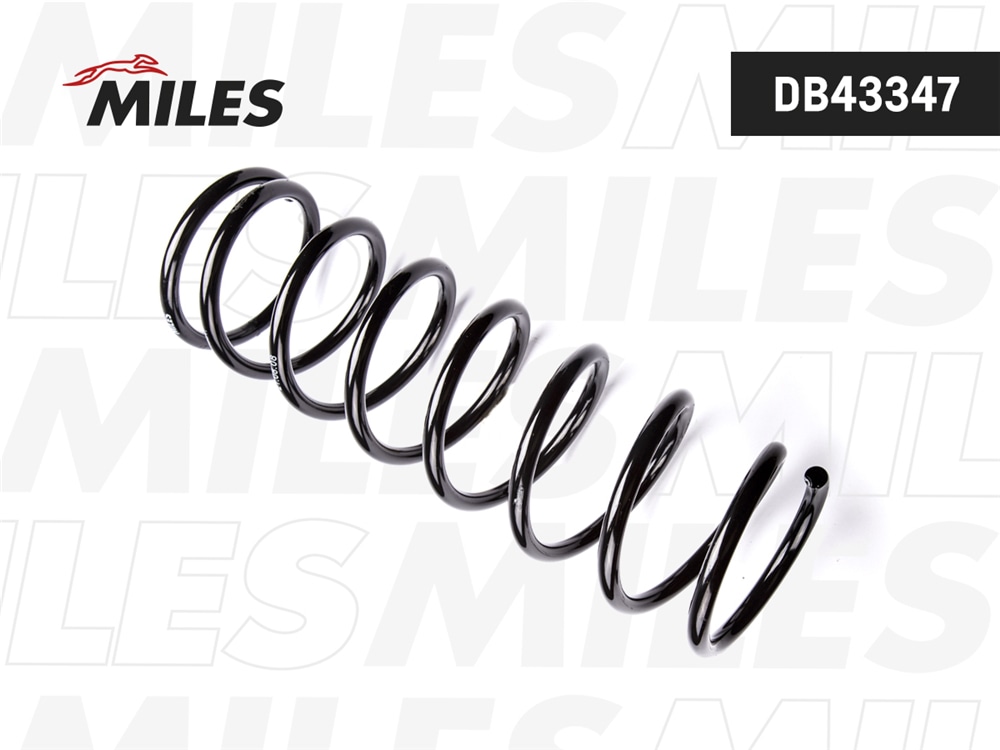 MILES DB43347 Пружина подвески HYUNDAI SONATA EF 04- (ТагАЗ) зад.