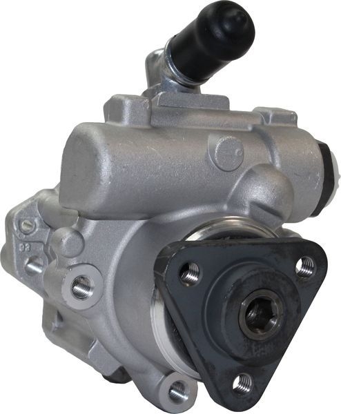 MOTORHERZ P1095HG Насос ГУР BMW X5 (E53) 4,4L, 4,8L 03-12 ZF