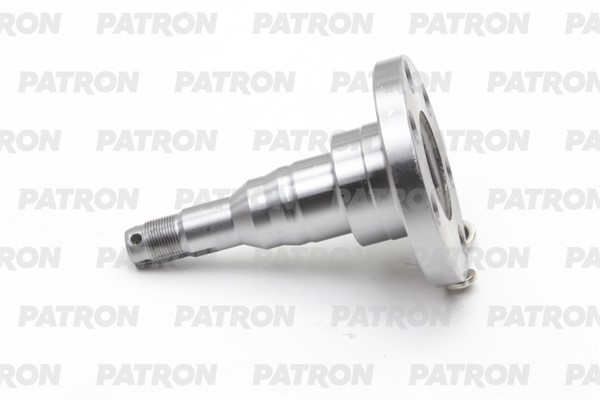 PATRON PBK4566H Цапфа ступицы VAG Golf2/ Golf3/ Golf4/ Polo/ Passat