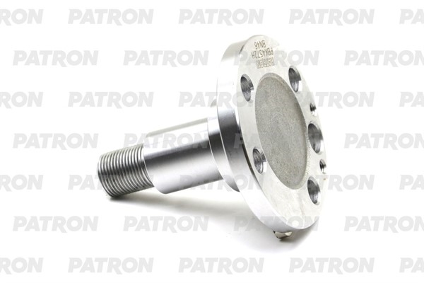 PATRON PBK4572H Цапфа ступицы VAG Polo/ Fabia II (5J)