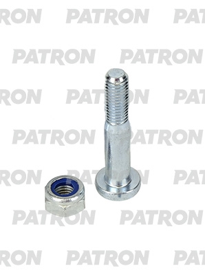PATRON PBLT073 Болт подвески поворотного кулака M10x1.5x65 FORD FOCUS 98-05