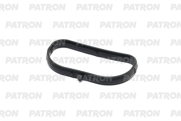 PATRON PG51161 Прокладка впускного коллектора CHRYSLER 3.3 01-05 In
