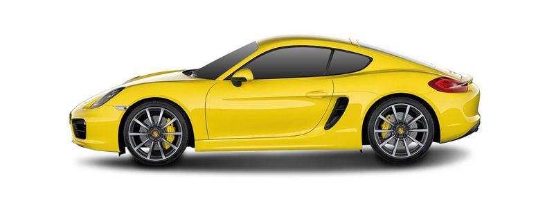 CAYMAN (981)