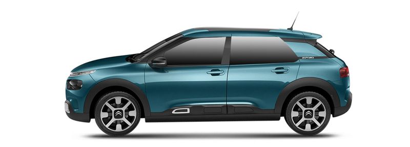 C4 CACTUS