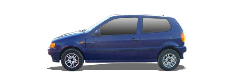 POLO Variant (6V5)