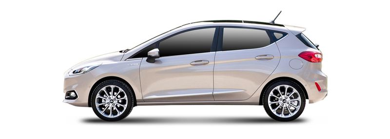 FIESTA VII (HJ, HF)