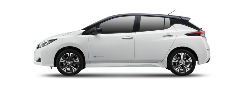LEAF (ZE1)