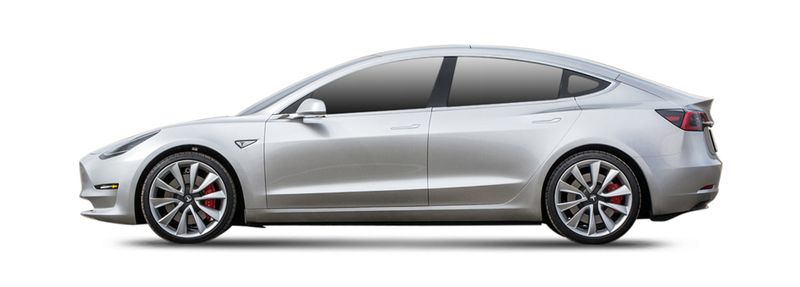 MODEL 3 (5YJ3)