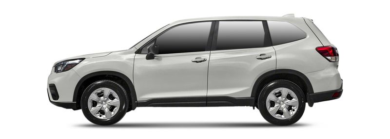 FORESTER (SK_)