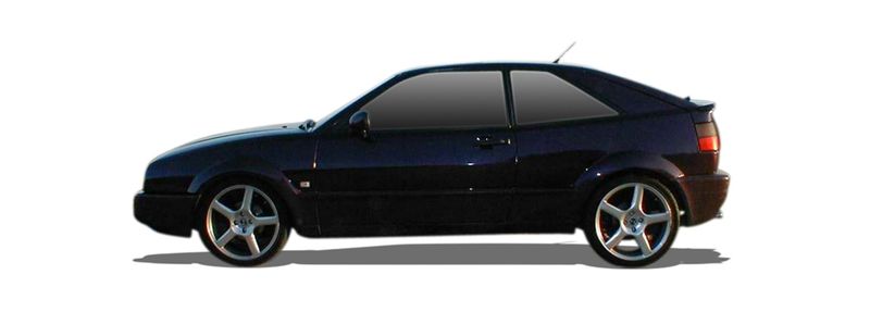 CORRADO (53I)