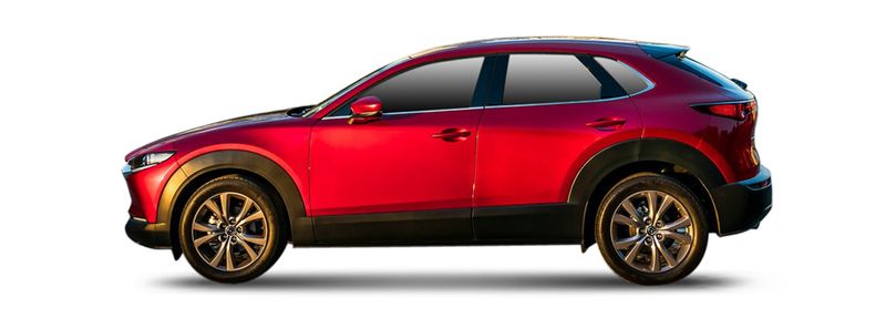 CX-30 (DM)