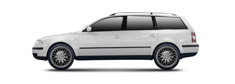 PASSAT B5.5 Variant (3B6)
