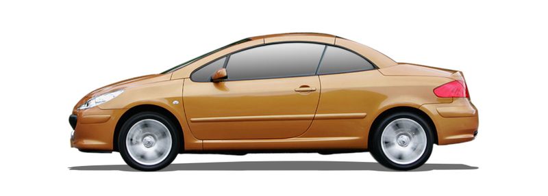 307 CC (3B)