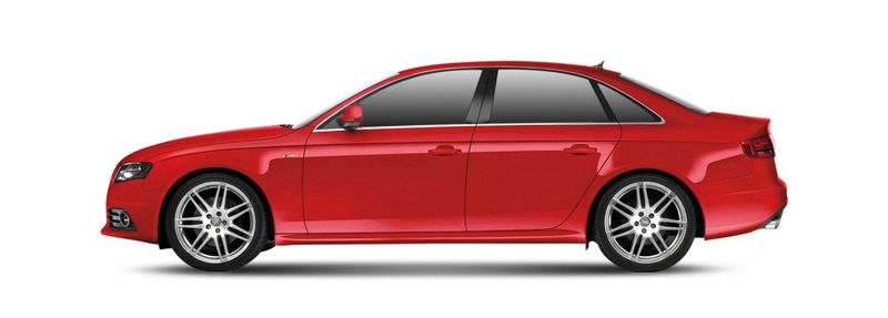 A4L B8 (828)