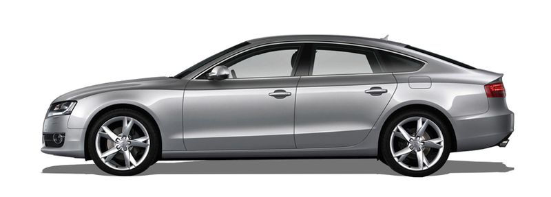 A5 Sportback (8TA)